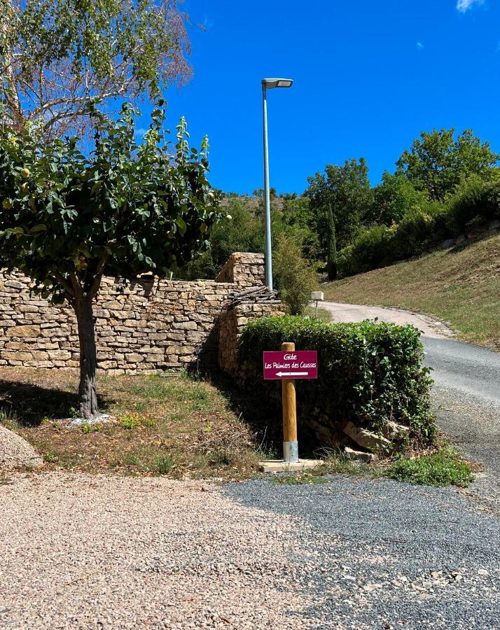 Chambre Au Calme Avec Spa Privatif Gratuit Sud Aveyron Les Palmiers Des Causses 塔恩河畔圣罗姆 外观 照片