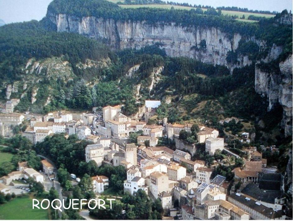 Chambre Au Calme Avec Spa Privatif Gratuit Sud Aveyron Les Palmiers Des Causses 塔恩河畔圣罗姆 外观 照片